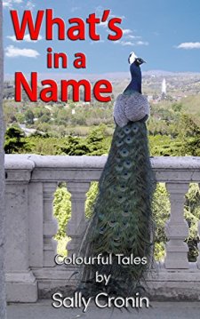 What's in a name cover